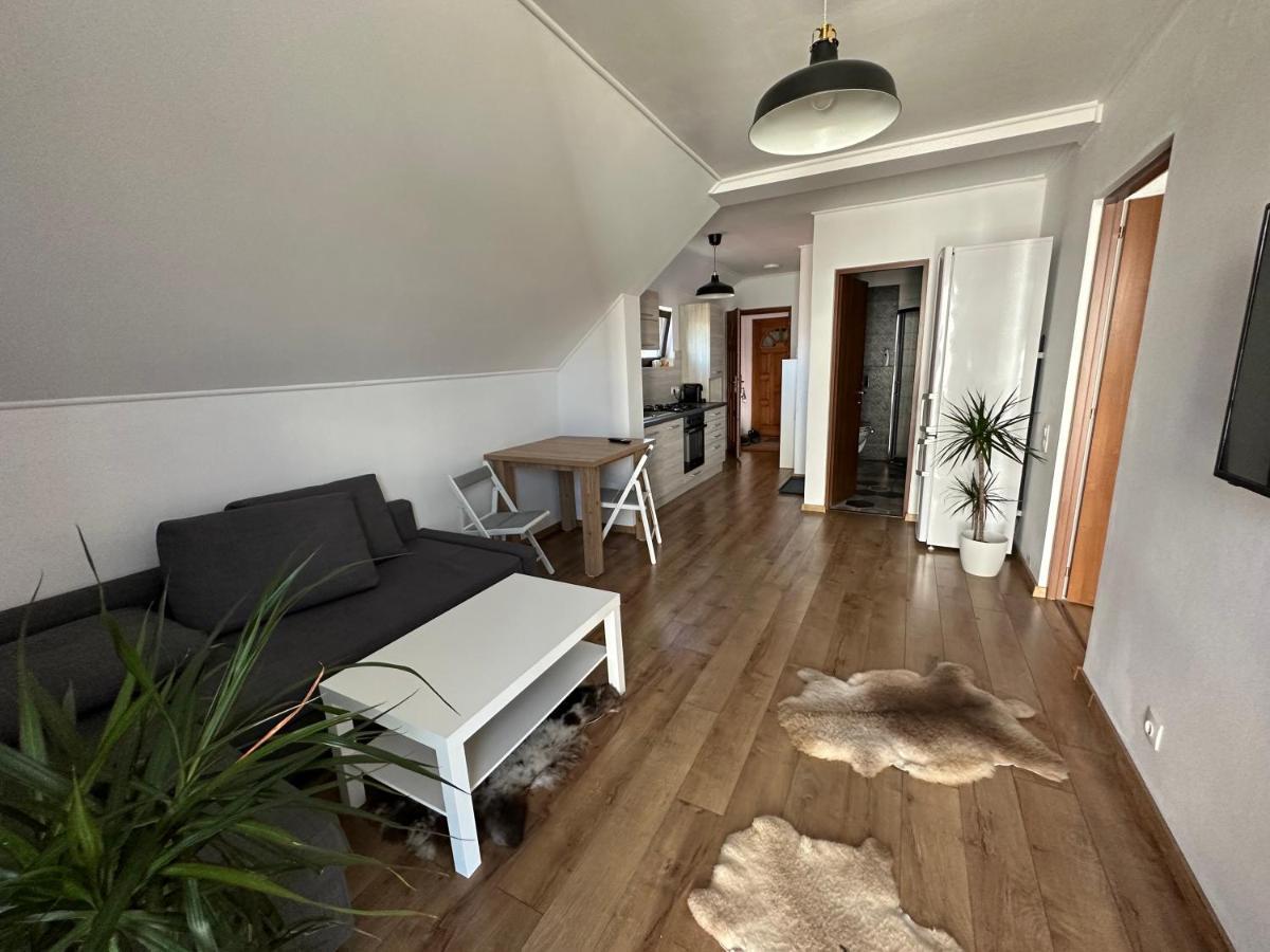 Bokorlak 4 Apartment Odorheiu Secuiesc Bagian luar foto